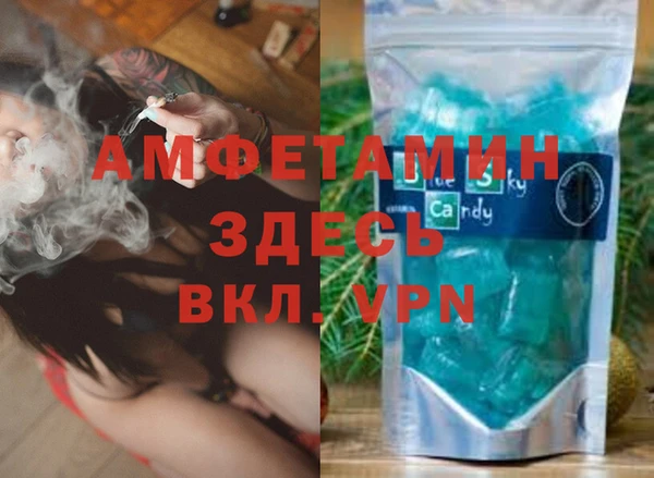 PSILOCYBIN Горняк