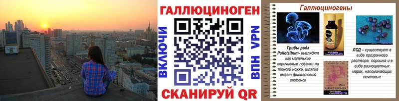 Псилоцибиновые грибы Psilocybe  Тогучин 
